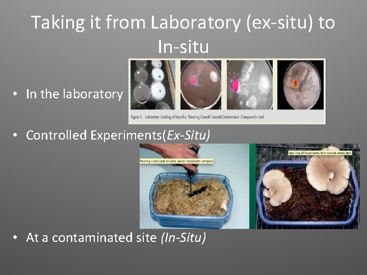 Taking it from Laboratory (ex-situ) to In-situ • In the laboratory • Controlled Experiments(Ex-Situ)