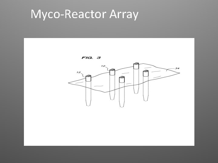 Myco-Reactor Array 