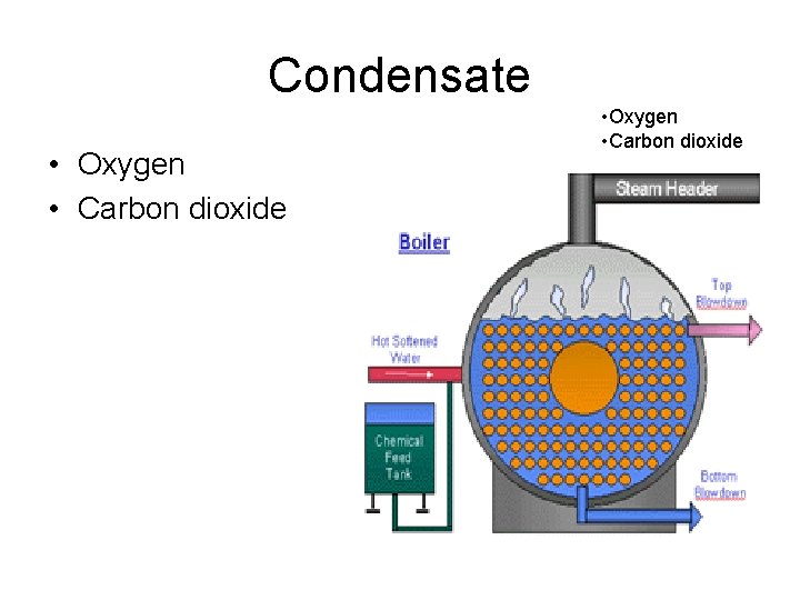 Condensate • Oxygen • Carbon dioxide 