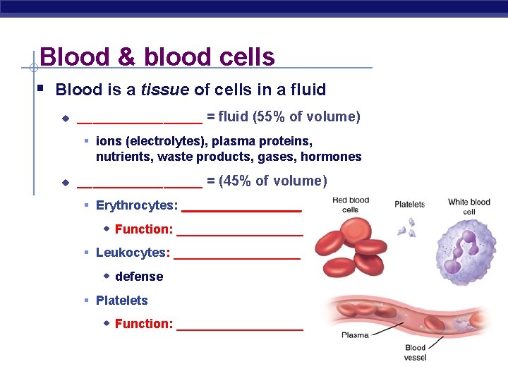 Blood & blood cells § Blood is a tissue of cells in a fluid