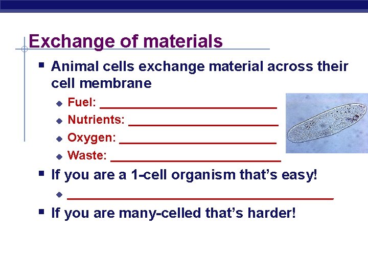 Exchange of materials § Animal cells exchange material across their cell membrane u u