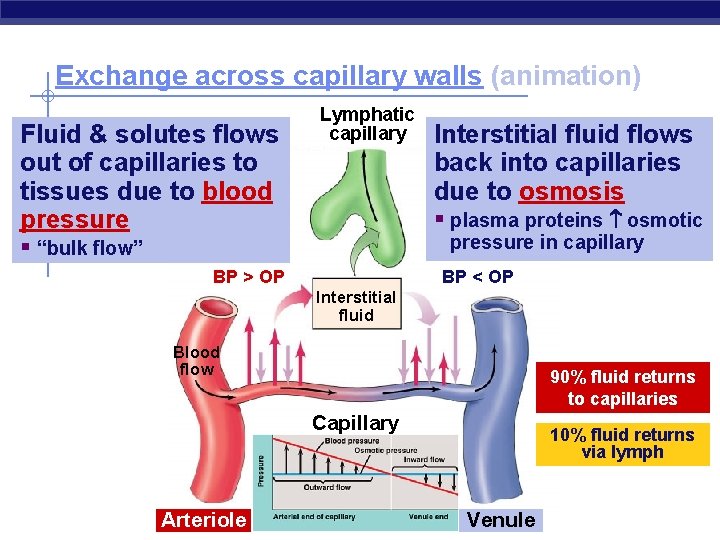 Circulatory System AP Biology Exchange of materials Animal