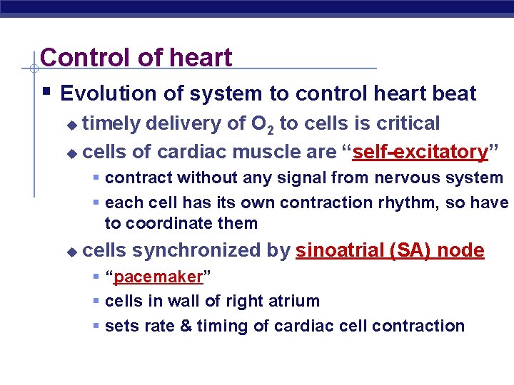Control of heart § Evolution of system to control heart beat timely delivery of