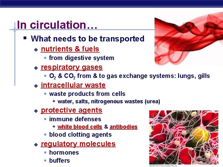 In circulation… § What needs to be transported u nutrients & fuels § from