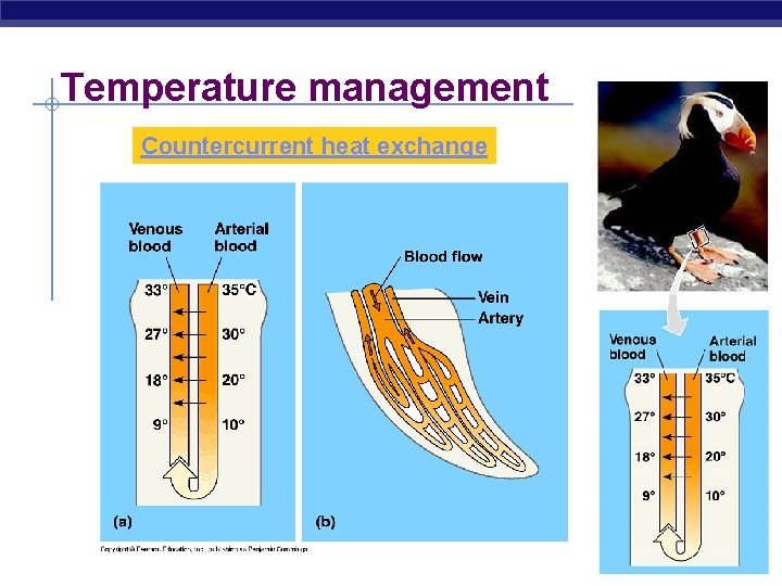 Temperature management Countercurrent heat exchange 