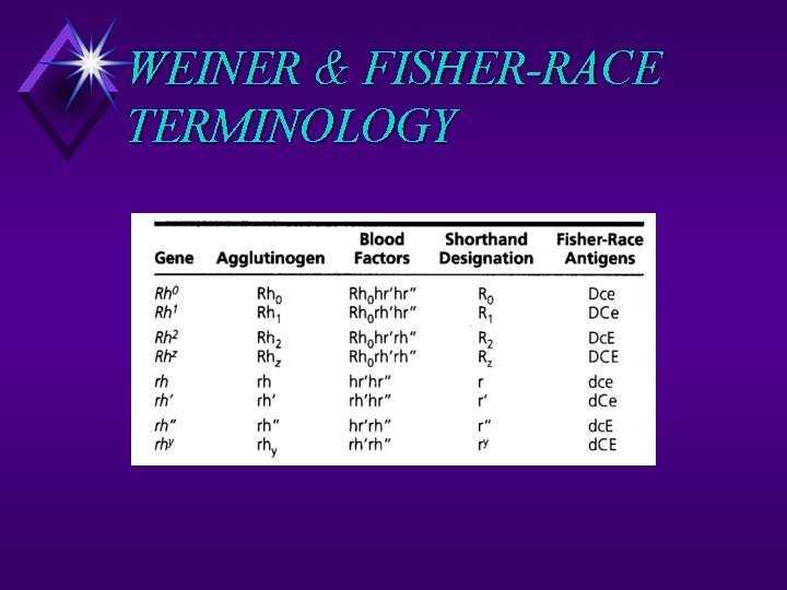 WEINER & FISHER-RACE TERMINOLOGY 