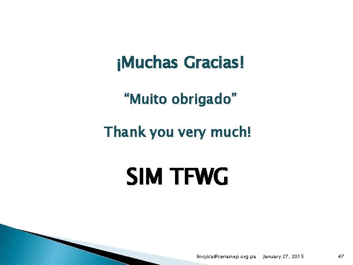 ¡Muchas Gracias! “Muito obrigado” Thank you very much! SIM TFWG lmojica@cenamep. org. pa January