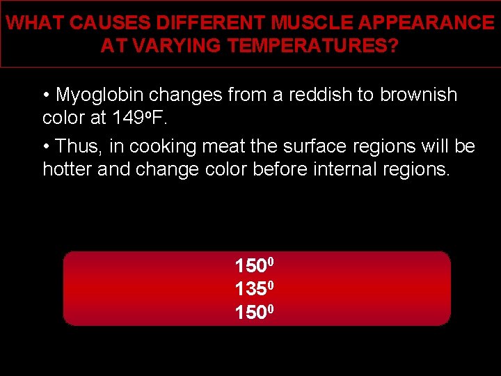 WHAT CAUSES DIFFERENT MUSCLE APPEARANCE AT VARYING TEMPERATURES? • Myoglobin changes from a reddish