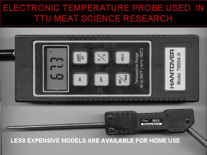 ELECTRONIC TEMPERATURE PROBE USED IN TTU MEAT SCIENCE RESEARCH LESS EXPENSIVE MODELS ARE AVAILABLE