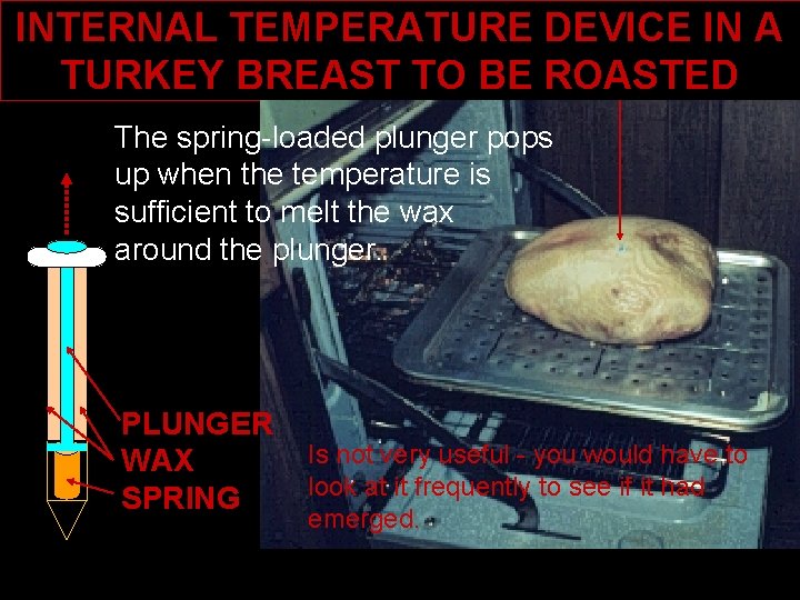INTERNAL TEMPERATURE DEVICE IN A TURKEY BREAST TO BE ROASTED The spring-loaded plunger pops