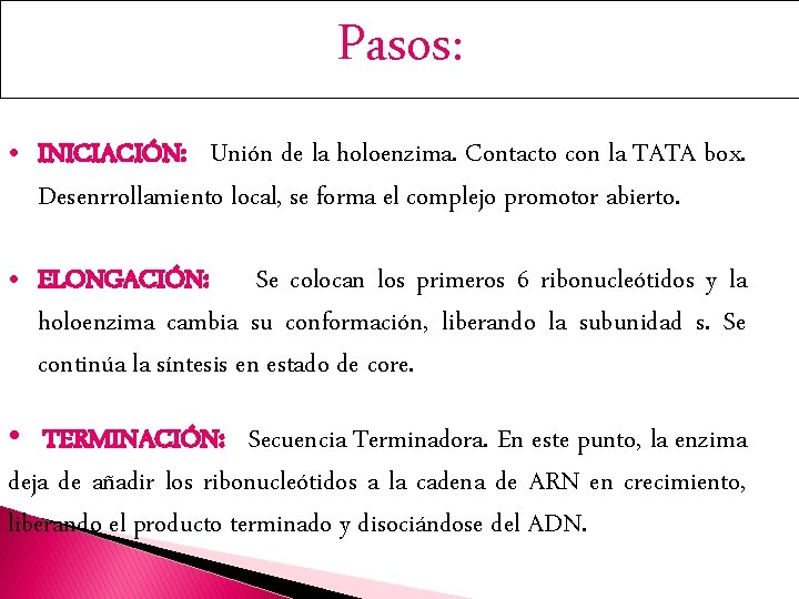 Pasos: • INICIACIÓN: Unión de la holoenzima. Contacto con la TATA box. Desenrrollamiento local,