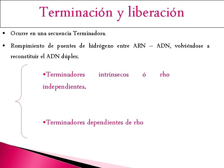 Terminación y liberación • Ocurre en una secuencia Terminadora. • Rompimiento de puentes de