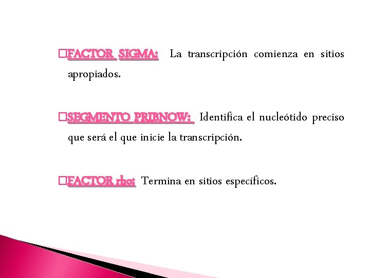 �FACTOR SIGMA: La transcripción comienza en sitios apropiados. �SEGMENTO PRIBNOW: Identifica el nucleótido preciso