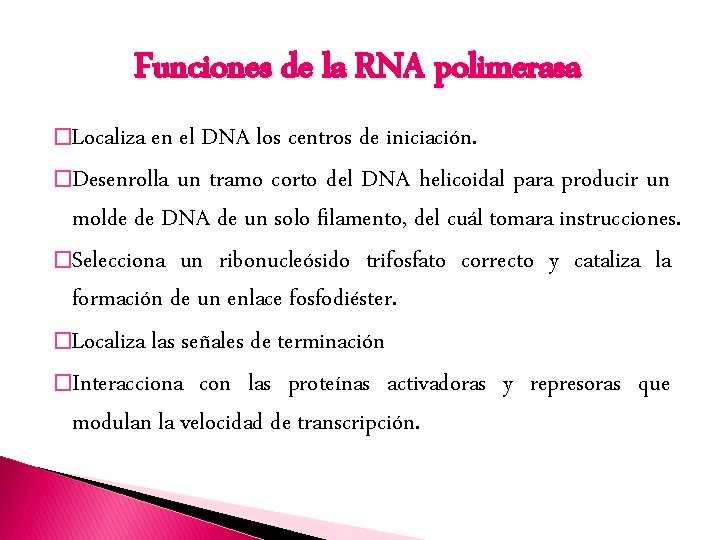 Funciones de la RNA polimerasa �Localiza en el DNA los centros de iniciación. �Desenrolla