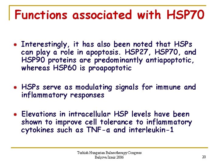 Functions associated with HSP 70 Interestingly, it has also been noted that HSPs can