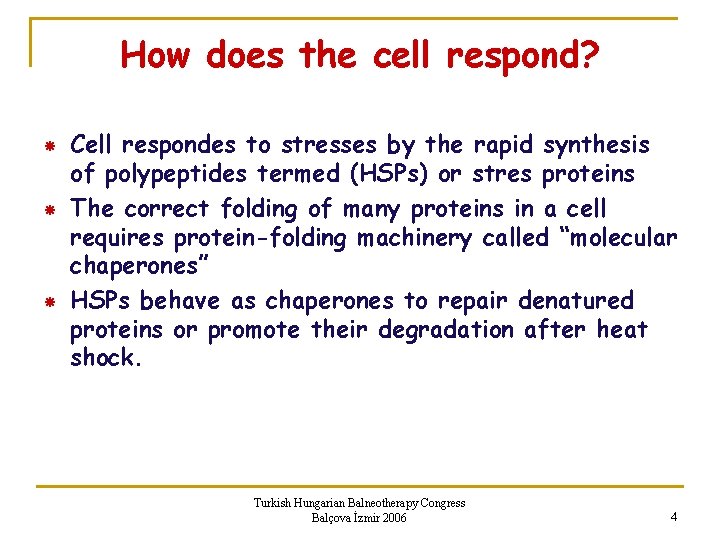How does the cell respond? Cell respondes to stresses by the rapid synthesis of