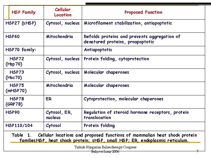 Cellular Location HSP Family Proposed Function HSP 27 (s. HSP) Cytosol, nucleus Microfilament stabilization,