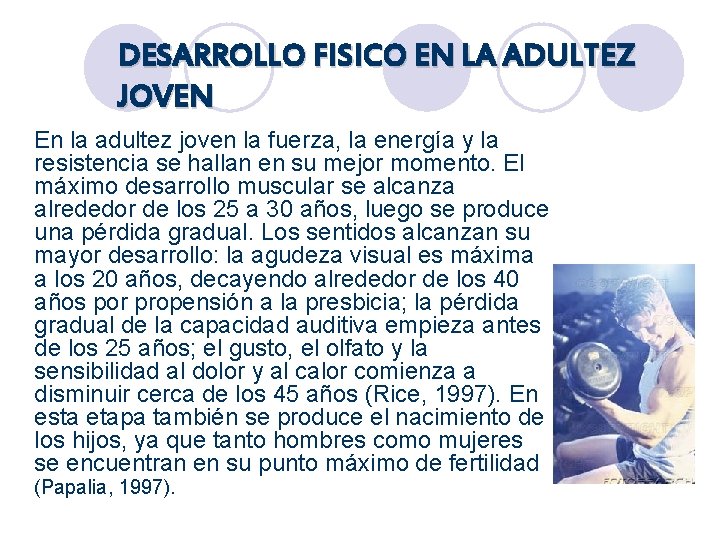 DESARROLLO FISICO EN LA ADULTEZ JOVEN En la adultez joven la fuerza, la energía