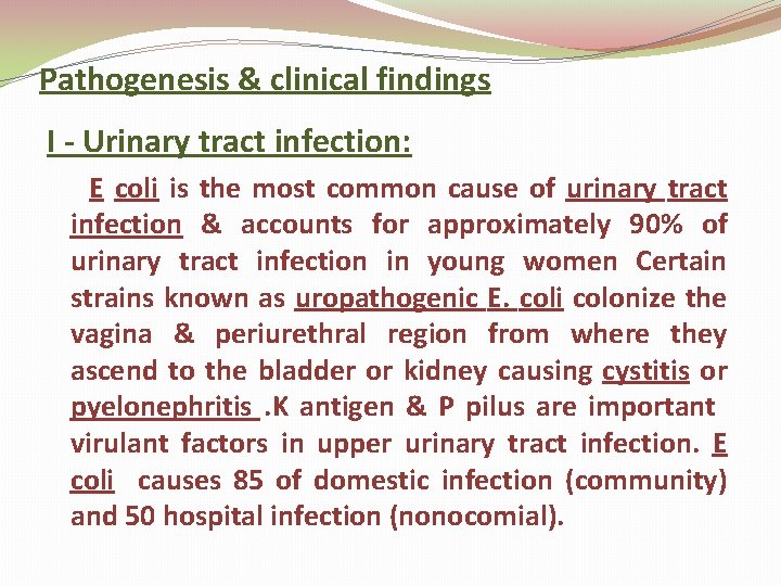 Pathogenesis & clinical findings I - Urinary tract infection: E coli is the most