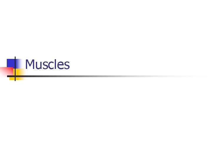 Muscles 