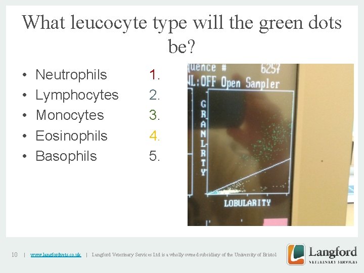 What leucocyte type will the green dots be? • • • 10 | Neutrophils