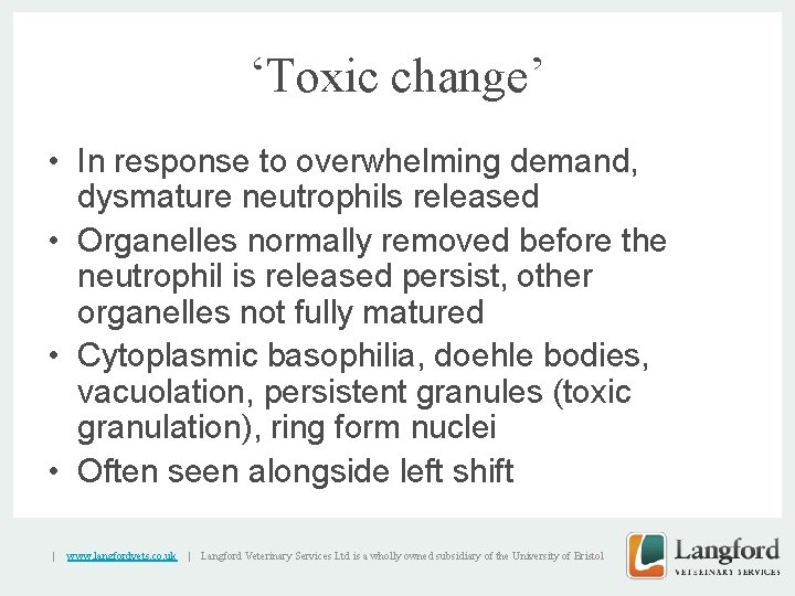 ‘Toxic change’ • In response to overwhelming demand, dysmature neutrophils released • Organelles normally
