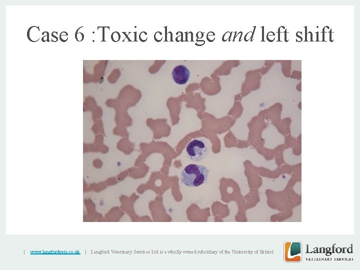 Case 6 : Toxic change and left shift v | www. langfordvets. co. uk