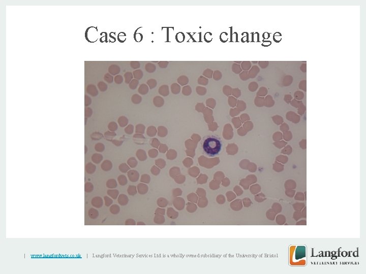 Case 6 : Toxic change v | www. langfordvets. co. uk | Langford Veterinary