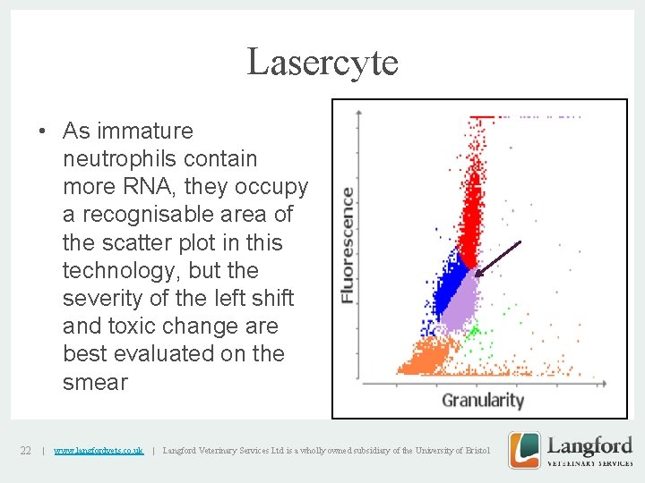 Lasercyte • As immature neutrophils contain more RNA, they occupy a recognisable area of