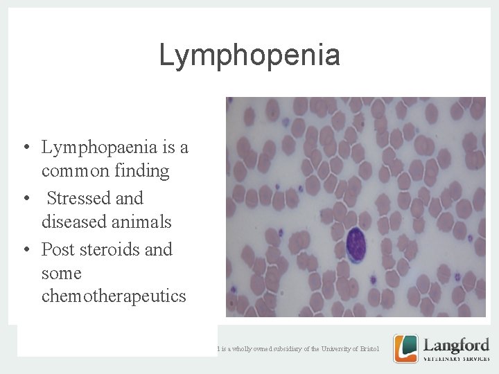 Lymphopenia • Lymphopaenia is a common finding • Stressed and diseased animals • Post