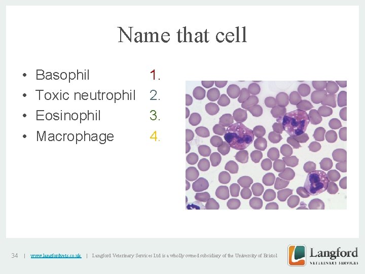 Name that cell • • 34 | Basophil Toxic neutrophil Eosinophil Macrophage www. langfordvets.