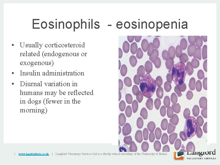 Eosinophils - eosinopenia • Usually corticosteroid related (endogenous or exogenous) • Insulin administration •