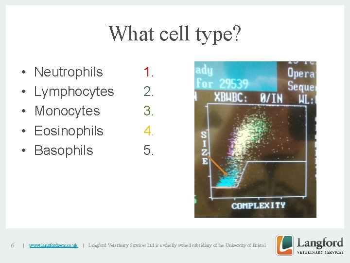 What cell type? • • • 6 | Neutrophils Lymphocytes Monocytes Eosinophils Basophils www.