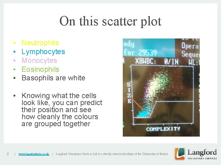 On this scatter plot • • • Neutrophils Lymphocytes Monocytes Eosinophils Basophils are white