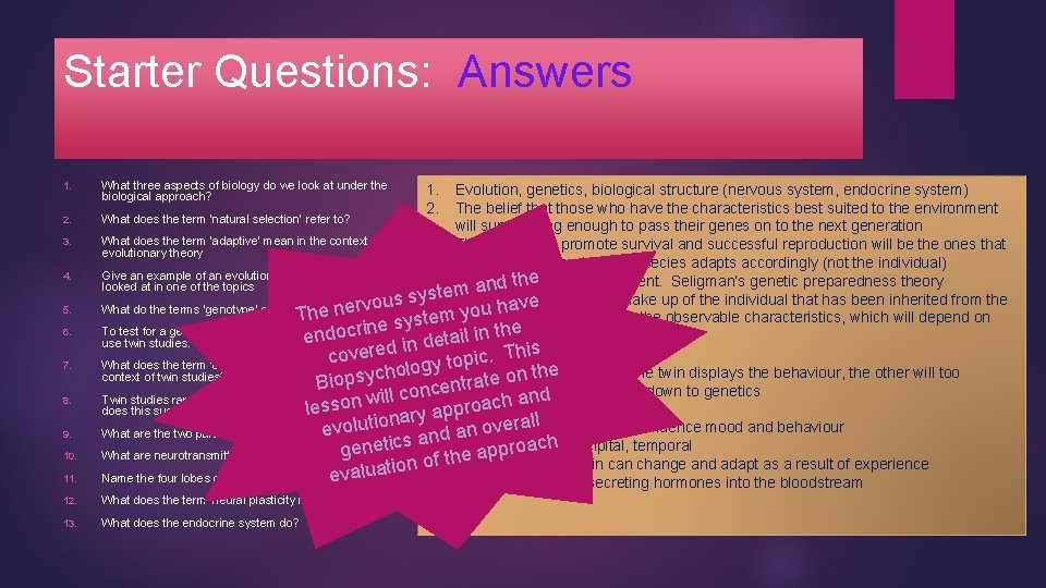 Starter Questions: Answers 1. 2. 3. 4. 5. 6. 7. 8. 9. 10. 11.