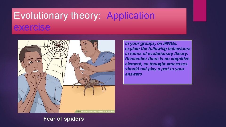 Evolutionary theory: Application exercise In your groups, on MWBs, explain the following behaviours in