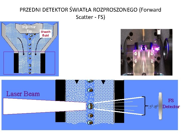 PRZEDNI DETEKTOR ŚWIATŁA ROZPROSZONEGO (Forward Scatter - FS) Laser Beam. 50 -80 FS Detector