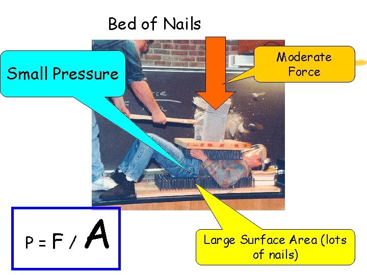 Bed of Nails Small Pressure P= F/ A Moderate Force Large Surface Area (lots
