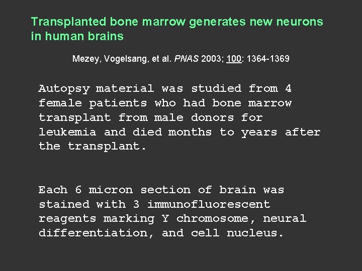 Transplanted bone marrow generates new neurons in human brains Mezey, Vogelsang, et al. PNAS