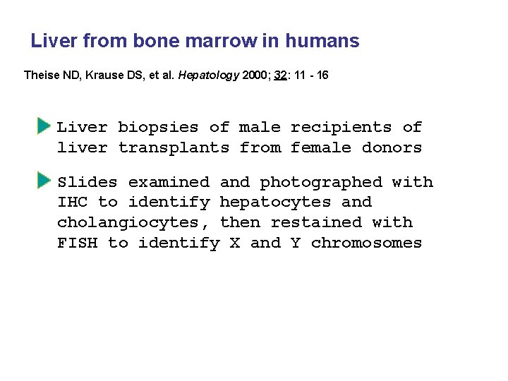 Liver from bone marrow in humans Theise ND, Krause DS, et al. Hepatology 2000;