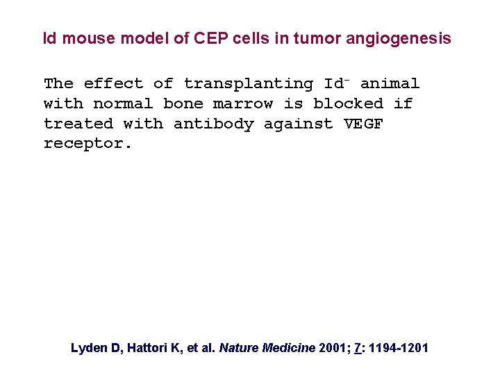 Id mouse model of CEP cells in tumor angiogenesis The effect of transplanting Id-
