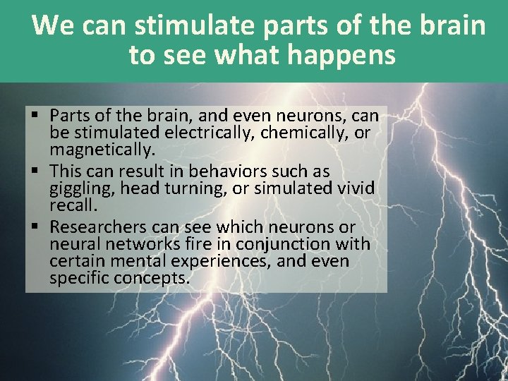 We can stimulate parts of the brain to see what happens § Parts of