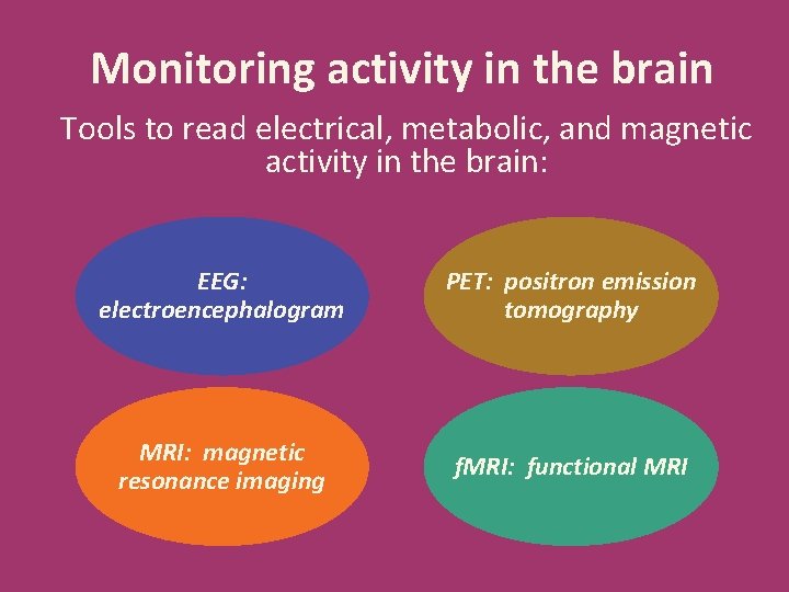 Monitoring activity in the brain Tools to read electrical, metabolic, and magnetic activity in