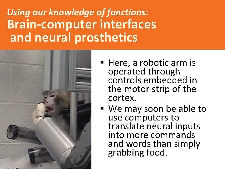Using our knowledge of functions: Brain-computer interfaces and neural prosthetics § Here, a robotic