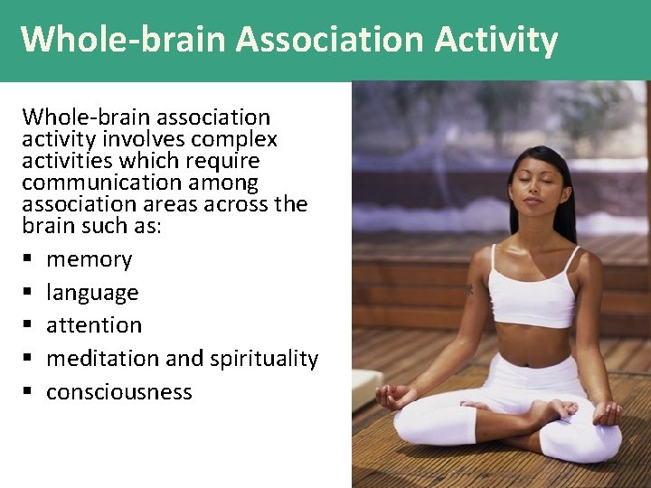 Whole-brain Association Activity Whole-brain association activity involves complex activities which require communication among association