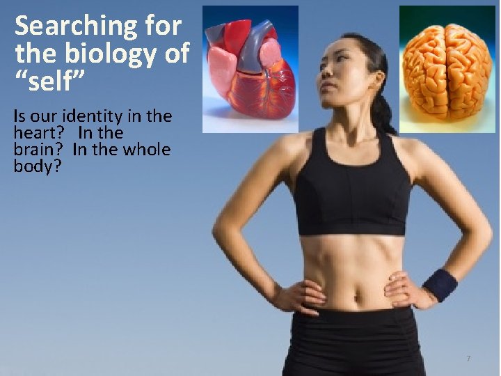 Searching for the biology of “self” Is our identity in the heart? In the