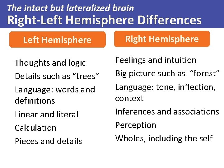 The intact but lateralized brain Right-Left Hemisphere Differences Left Hemisphere Thoughts and logic Details