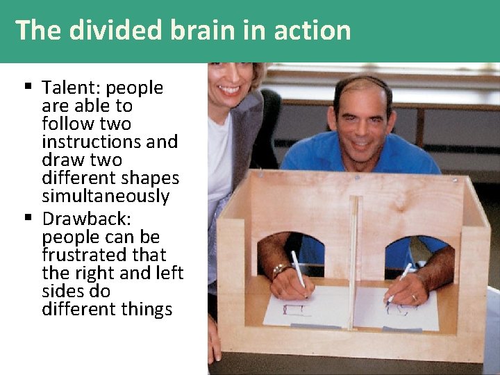 The divided brain in action § Talent: people are able to follow two instructions