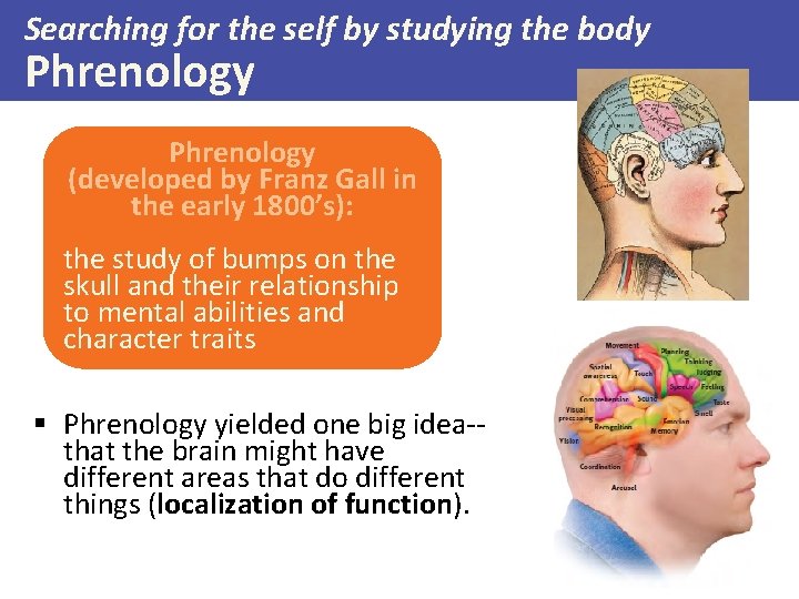 Searching for the self by studying the body Phrenology (developed by Franz Gall in