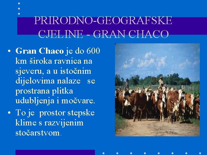 PRIRODNO-GEOGRAFSKE CJELINE - GRAN CHACO • Gran Chaco je do 600 km široka ravnica